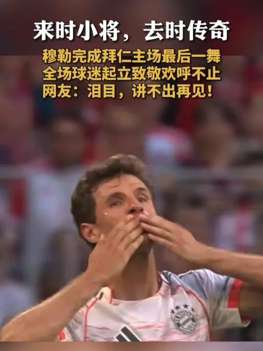 关于绝杀瞬间回放，球迷狂热欢呼不止的信息