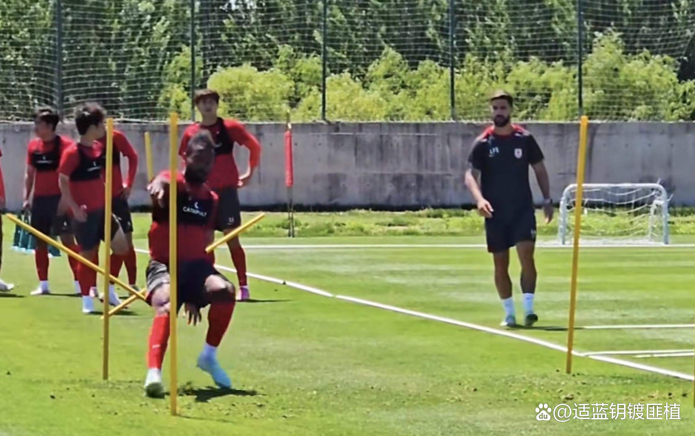 一方名将伤愈复出,球队战斗力再次提升 一方名将伤愈复出,球队战斗力再次提升