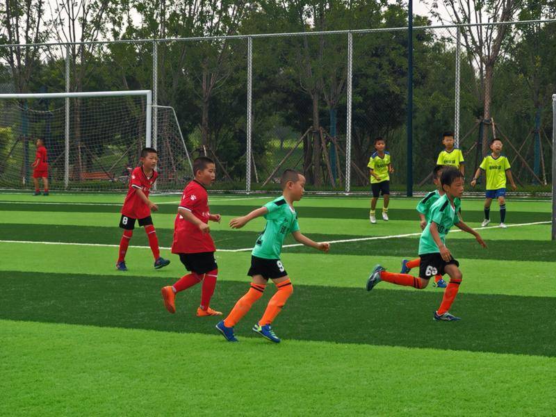 足球比赛奋勇争先,观众沸腾掌声连连 足球比赛奋勇争先,观众沸腾掌声连连