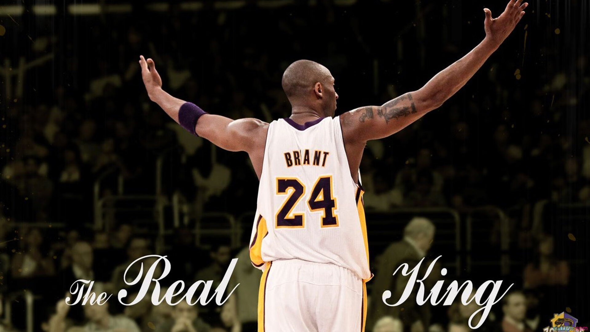 老将的火焰,纳达尔绝境逆转,用联合杯的曙光点燃总决赛之路